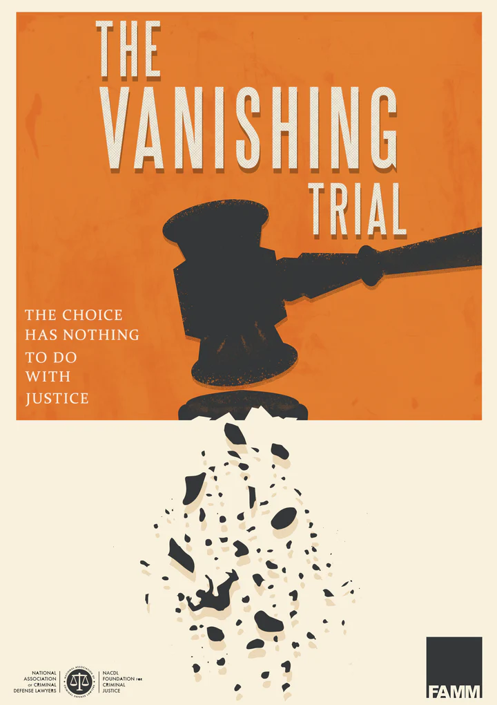 Film poster for The Vanishing Trial