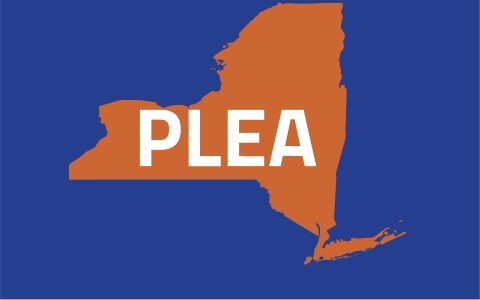 Image - NYSACDL and NACDL Publish Groundbreaking Report on Trial Penalty in New York