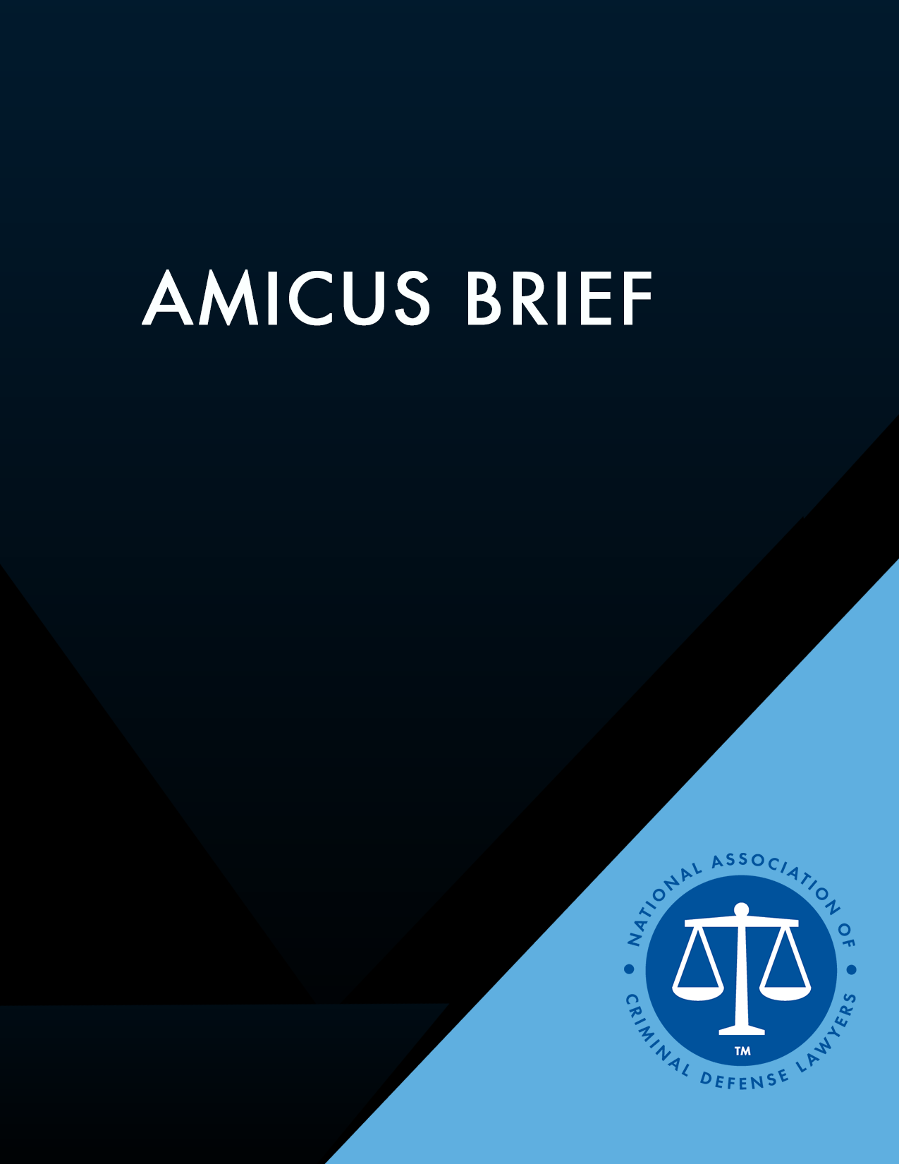 Amicus brief graphic