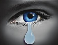 Article 2019 Defending Sex Assault Cases Seminar