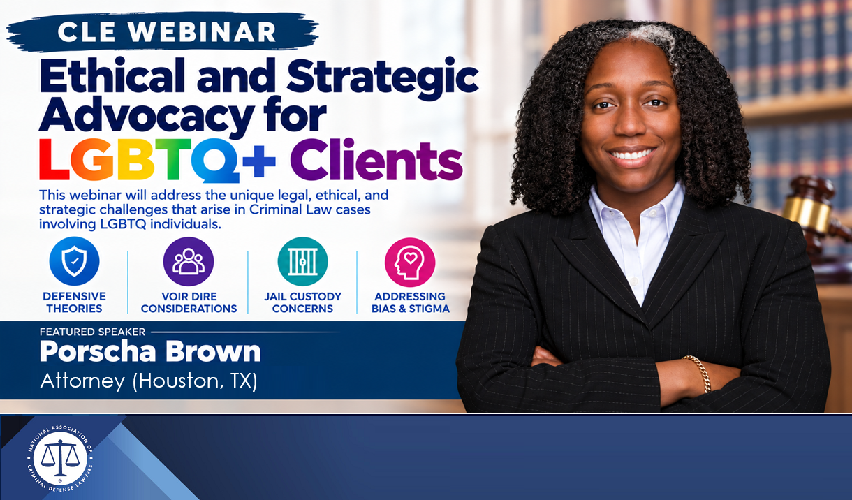 Ethical and Strategic Advocacy for LGBTQ+ Clients Cover
