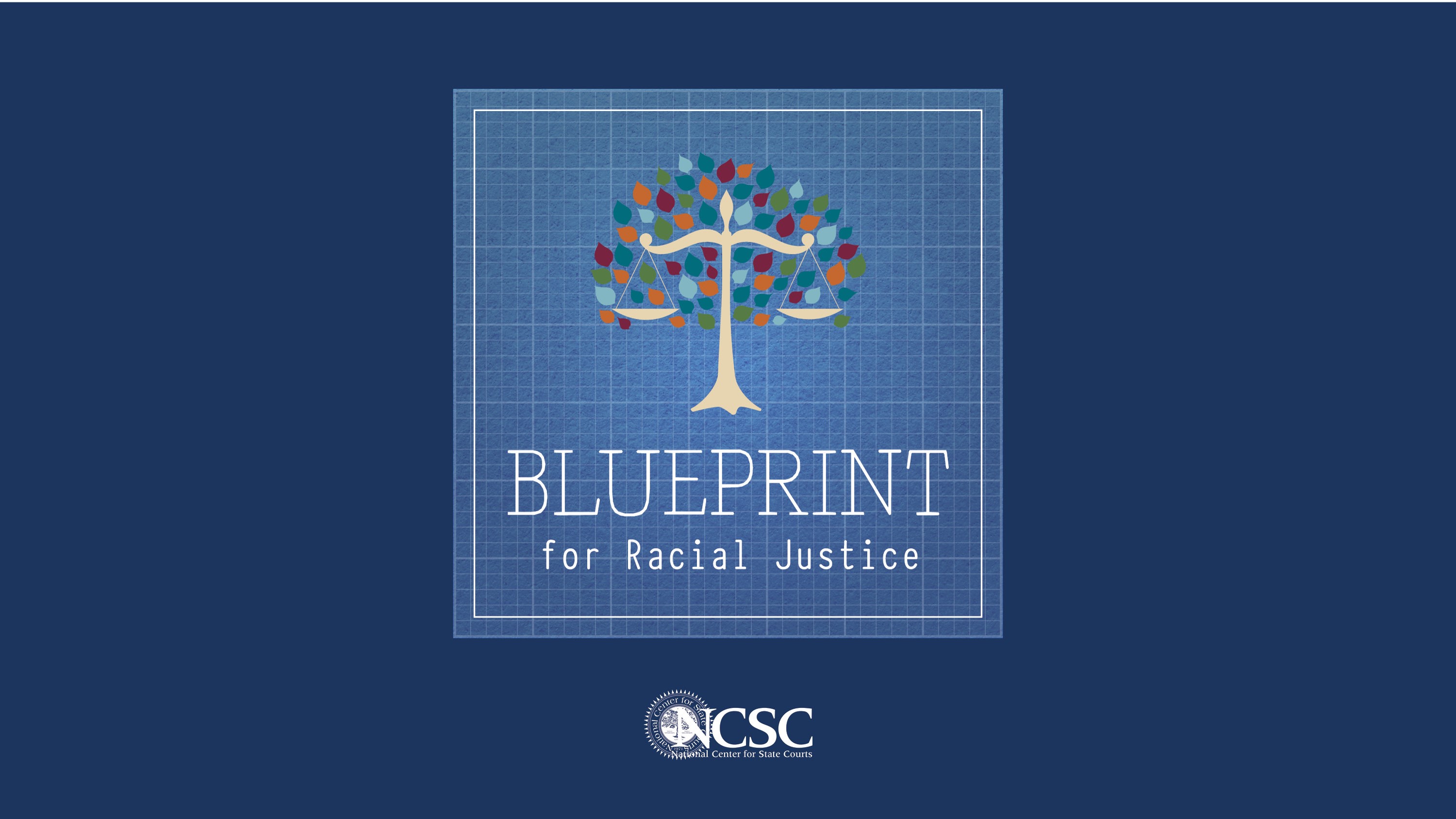 Image for Blueprint for Racial Justice