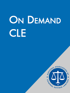Cover Cross Examination of a Child Witness - Andres Guevara