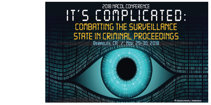 Recent 4th Amendment Violation Cases 2025